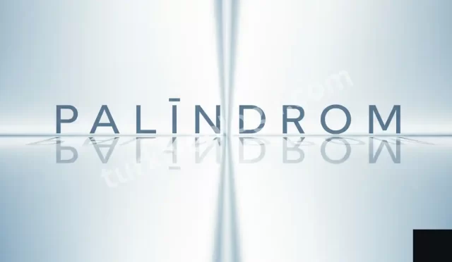 palindrom ne demek palindrom hesaplama